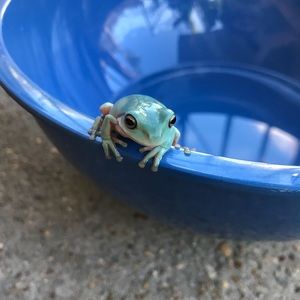 Meet your Posher, Brittany